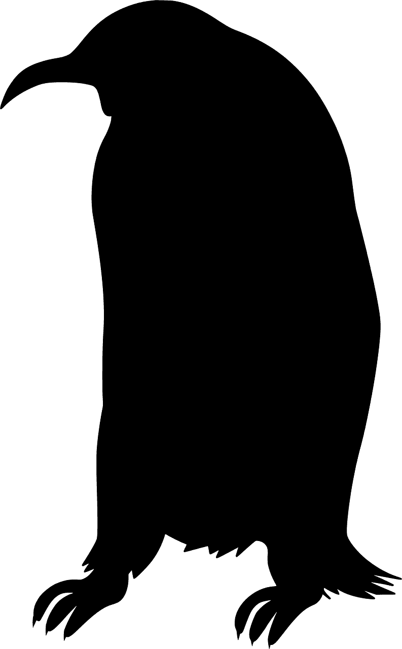 企鹅