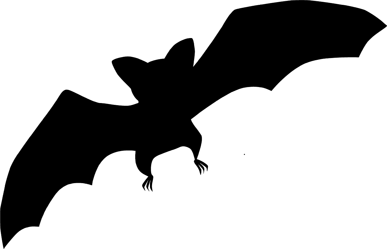 Bat