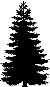 Pine tree