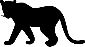 Panther