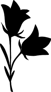 Bell-flower