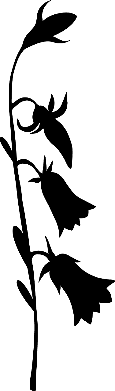 Bell-flower