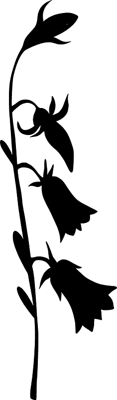 Bell-flower