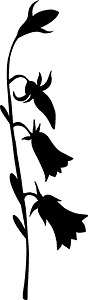 Bell-flower