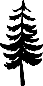 Evergreen tree