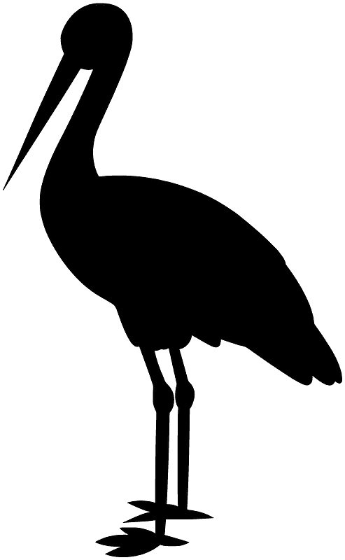 Stork