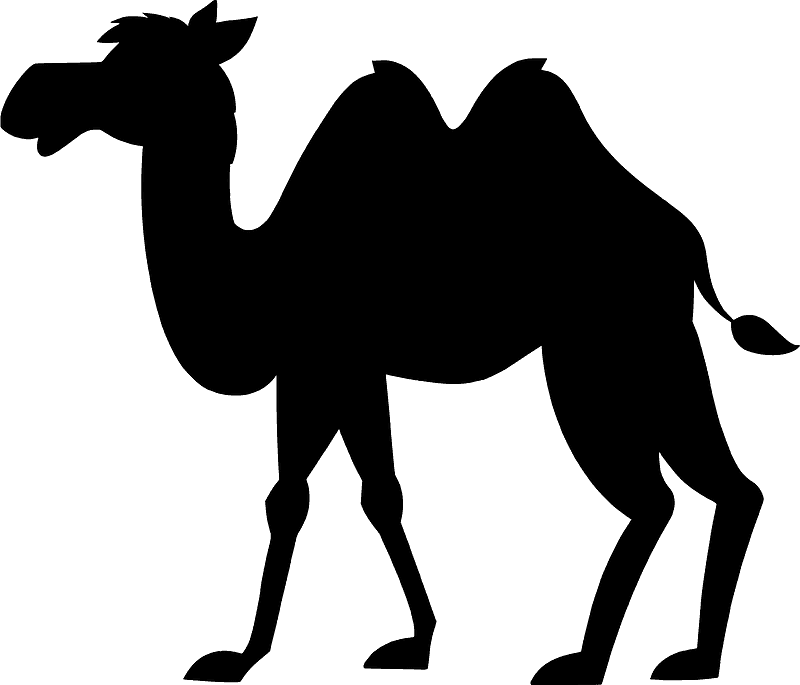 Camel
