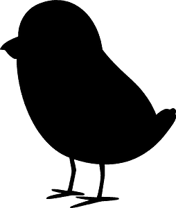 Chick