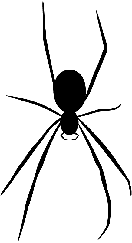 クモ
