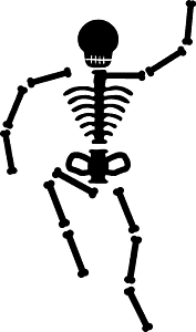 Human Skeleton Silhouette