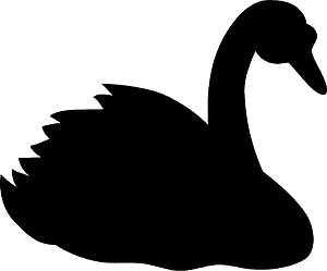 Swan