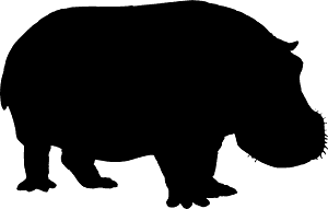 河马