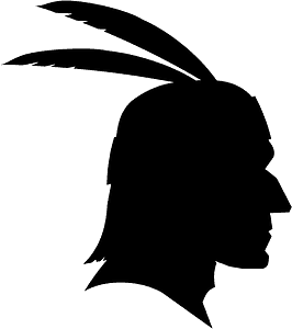 Native American Profile 