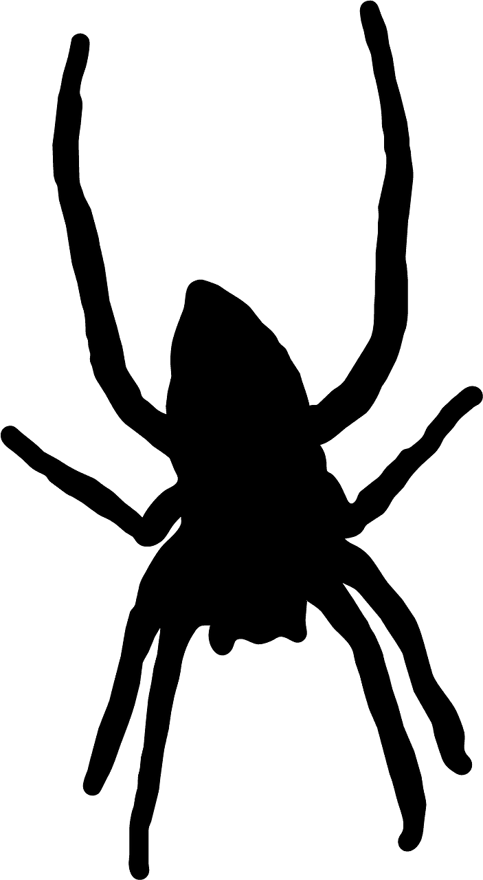 Laba-laba
