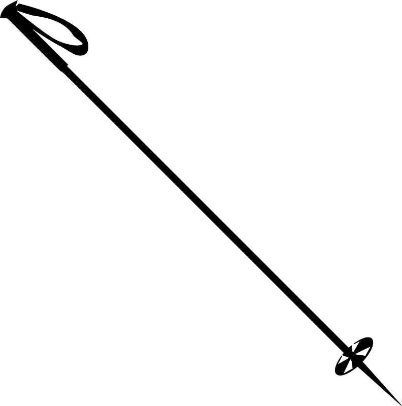 Ski Pole