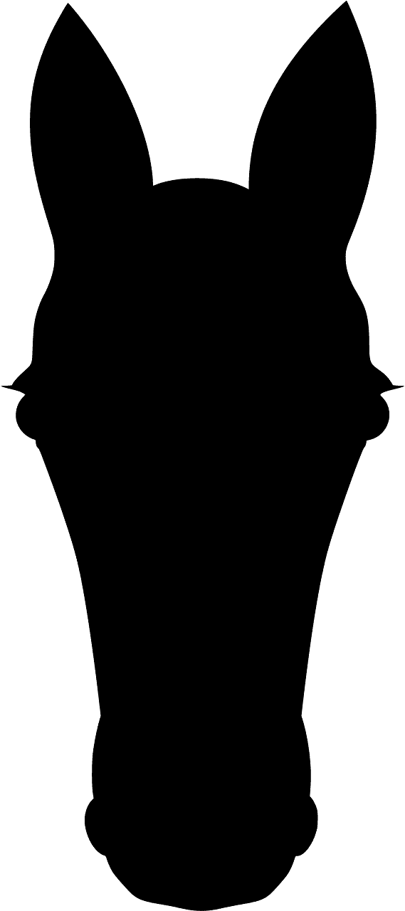 Horse's Head