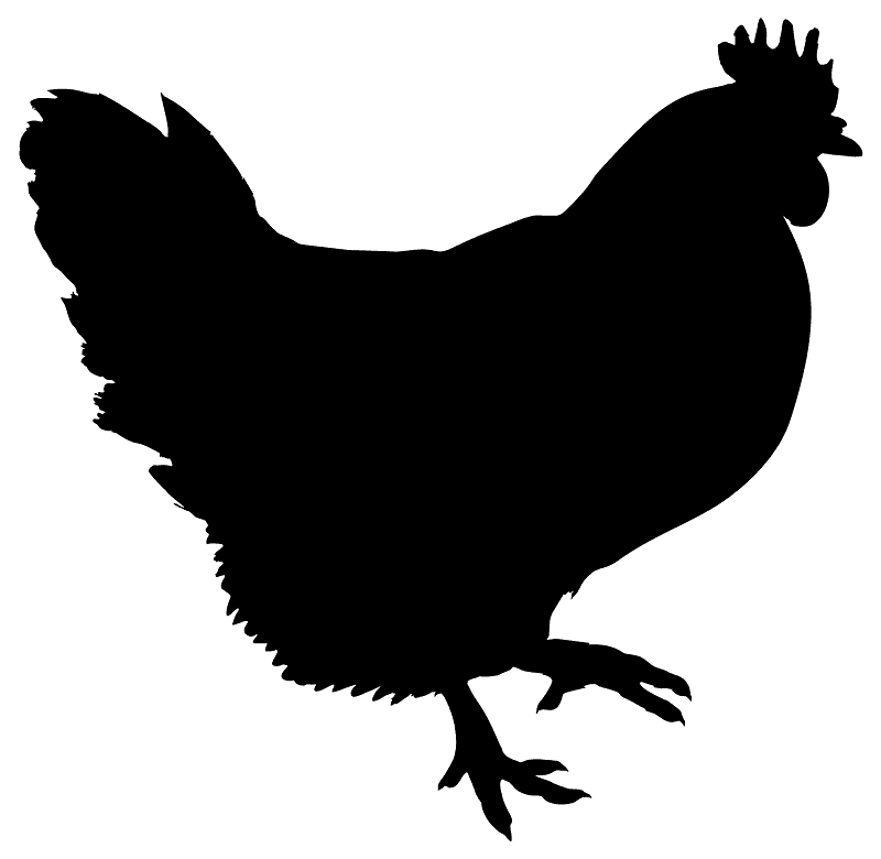 Hen