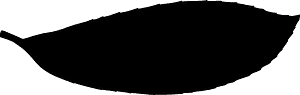 Laurel Leaf