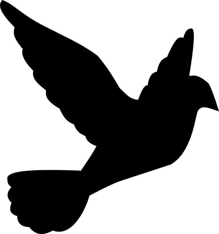 Flying White Dove