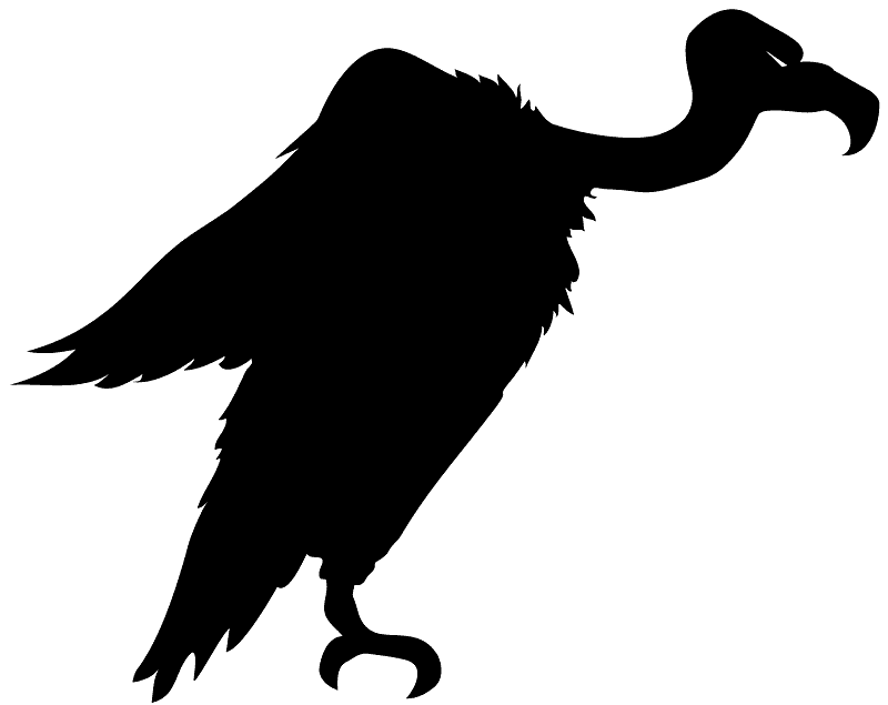 Vulture