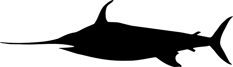 Swordfish