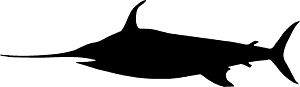 Swordfish