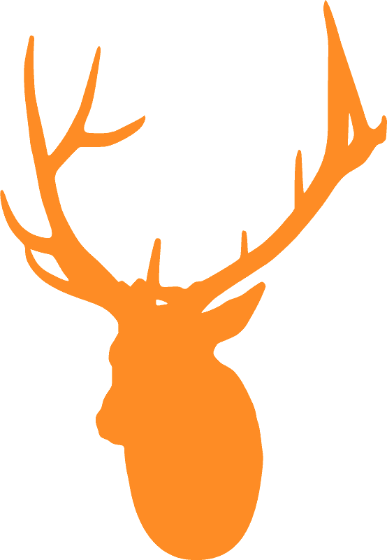 Deer head