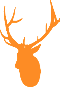 Deer head