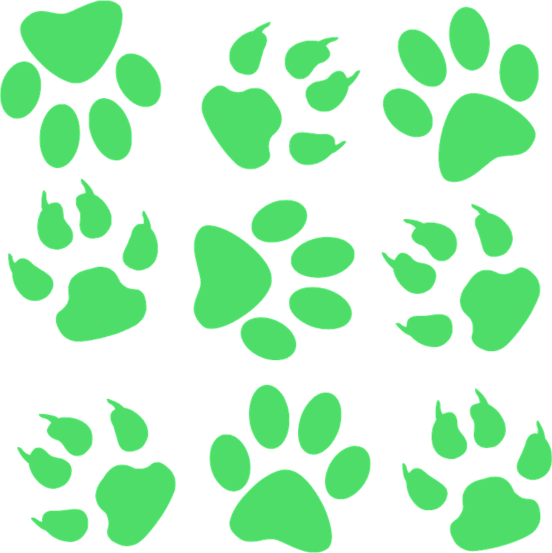 Paw prints