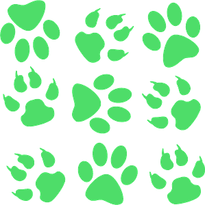 Paw prints
