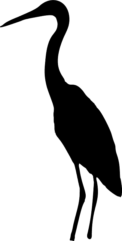 Stork