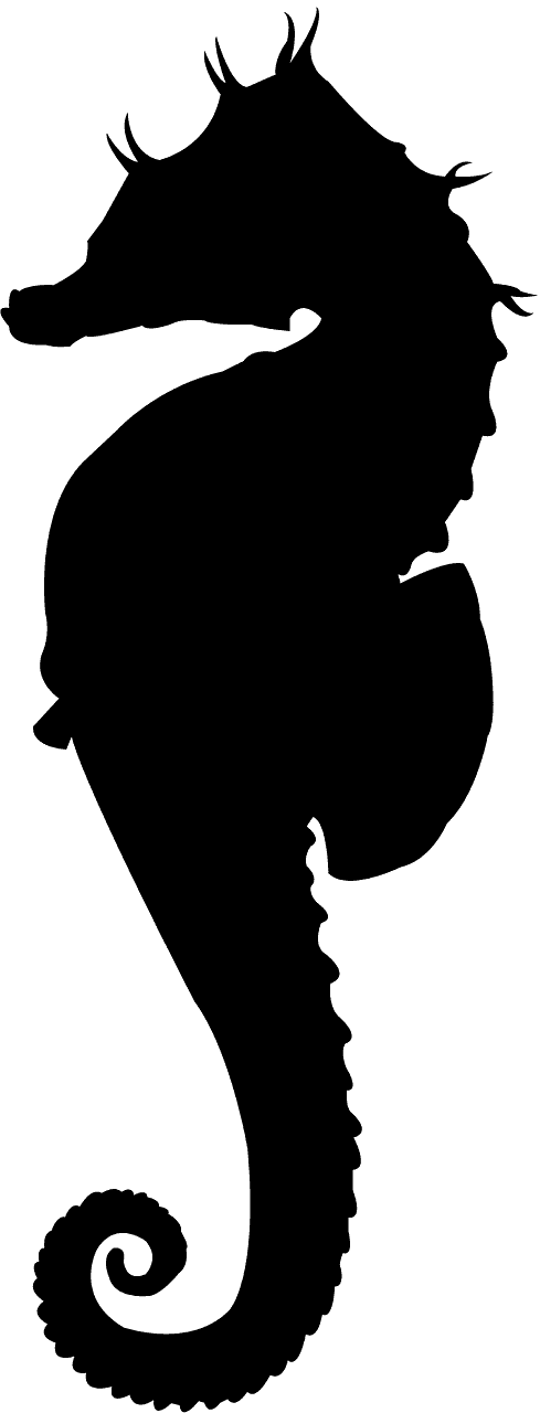해마