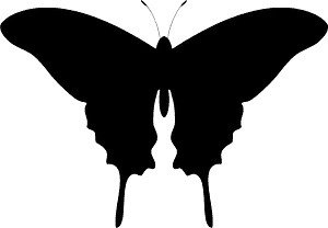 蝴蝶
