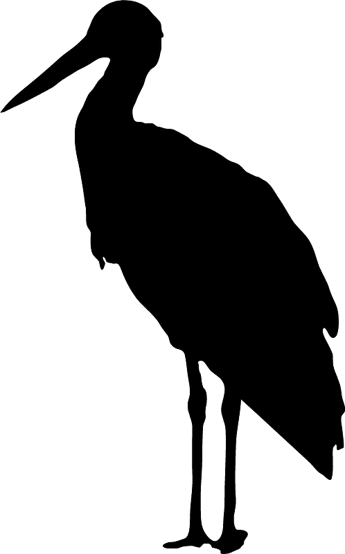 鹳