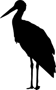 Stork