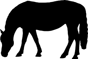 Horse with head bowed