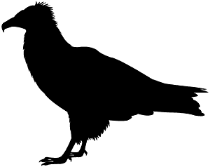 Vulture