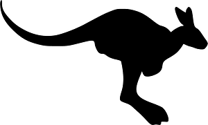 캥거루