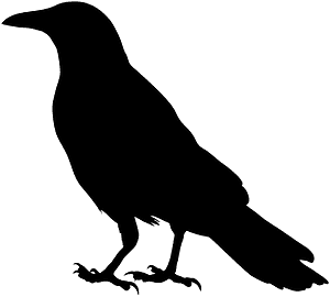 Corbeau