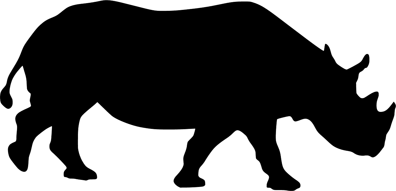 Rhinoceros