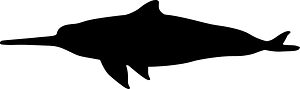 拉河豚