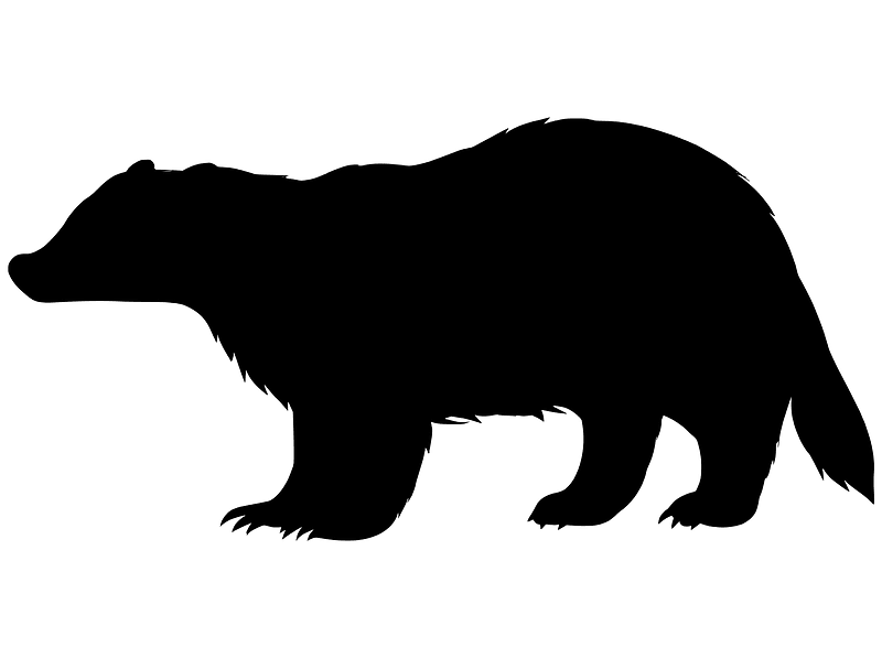 European badger