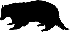 오소리