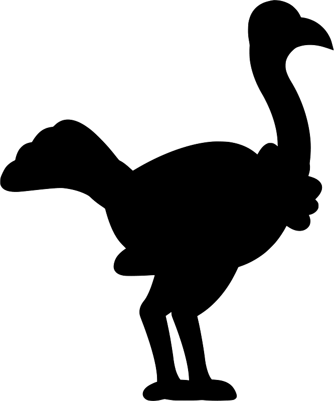 Ostrich