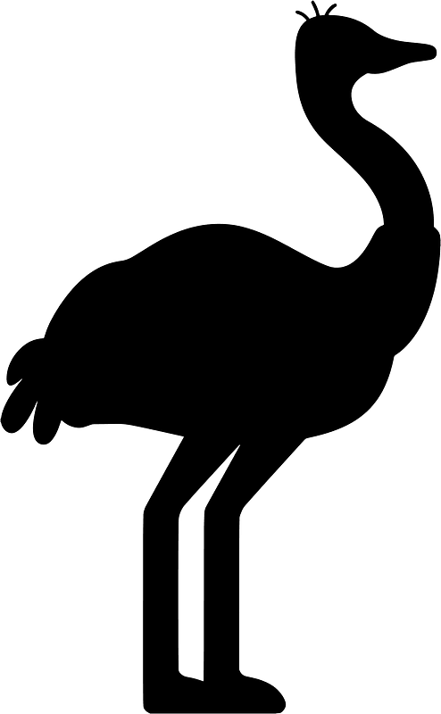 Ostrich