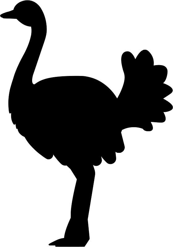 Ostrich