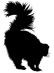 Striped skunk