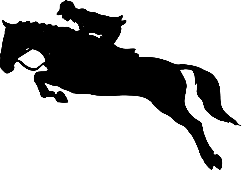 Horse jumping over hurdles