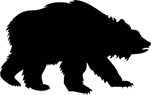 棕熊