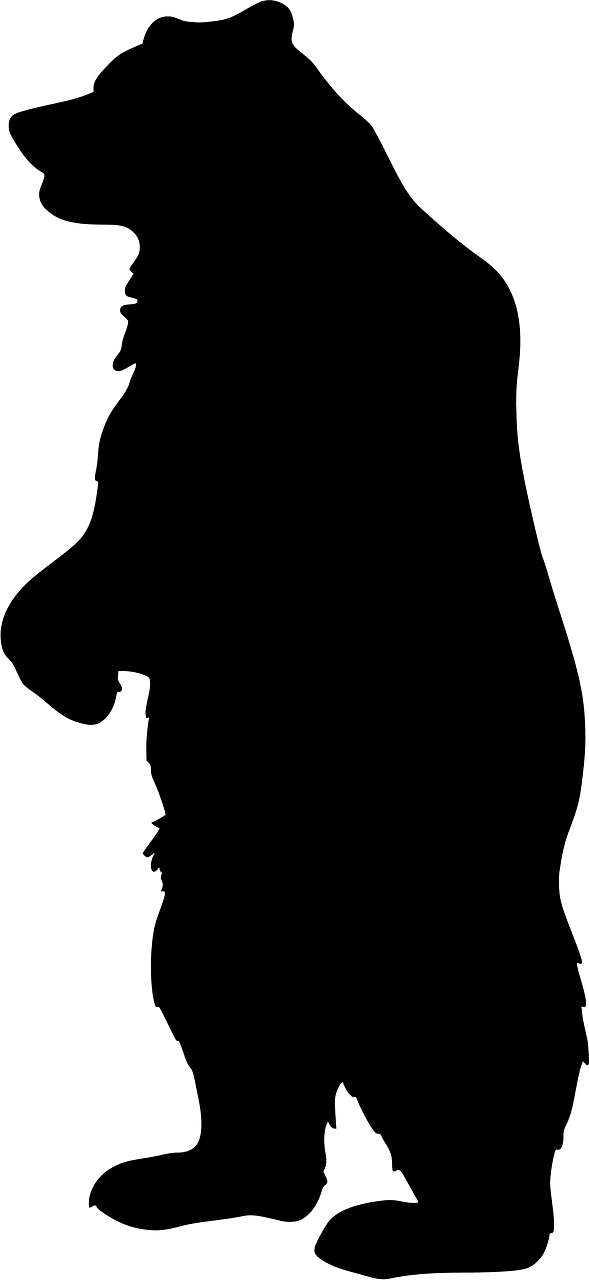 Oso